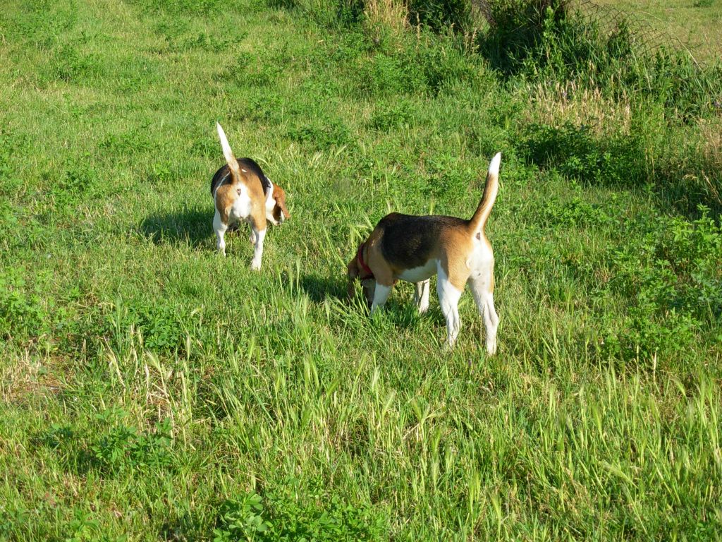 Teo e Nike